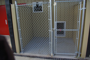 ... Photo Of Dog On Kennels one of the best kennel orlando florida quotes