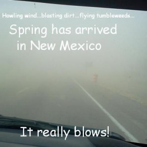 New Mexico Wind Storm