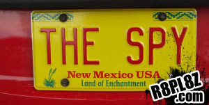 the-spy-funny-license-plates
