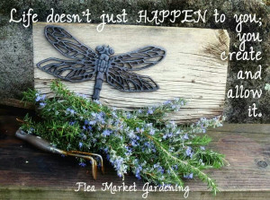 Already have an account? Log in now