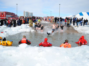 Polar plungers take a chilly dive into the winter water to help out ...