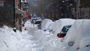 2015 Northeast Snowstorm Info: School Closings, Flight Delays ...