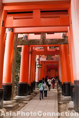 ... shinto;-shintoism;-temple;-fushimi-inari-taisha;-sacred;-famous