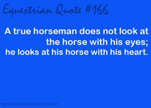 horseback riding quotes – Google Search