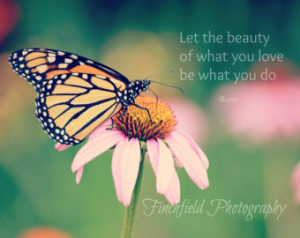 Funny Quotes Contact Us DMCA Notice