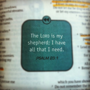 spiritualinspiration:The LORD is my shepherd, I shall not be in want ...