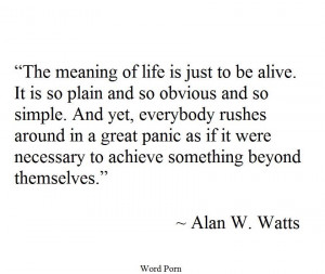 Alan Watts on life