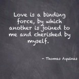 View bigger - Thomas Aquinas Quotes (FREE!) for Android screenshot