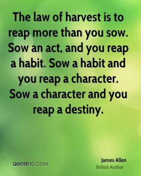 You Sow An Act And Reap A Habit
