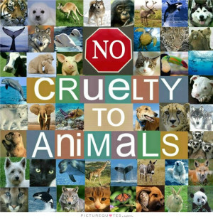 Animal Quotes Animal Rights Quotes Animal Cruelty Quotes