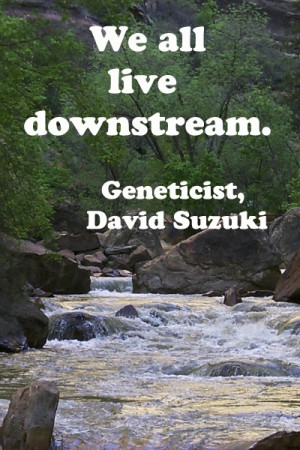 ... quotations -- image is Zion River in Zion National Park; #quotations