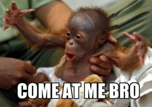 The Most Hilarious “Come at Me, Bro!” Memes (56 pics + 8 gifs + 1 ...