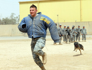 Funny Army Picture – Dog Training