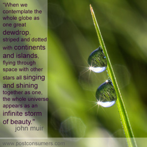 Favorite John Muir Quotes: The Globe and a Dewdrop