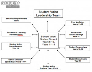The diagram below shows the structure of Student Voice in the school.