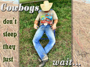 dec by author read on goodnight cowboy sexy cowboy funny