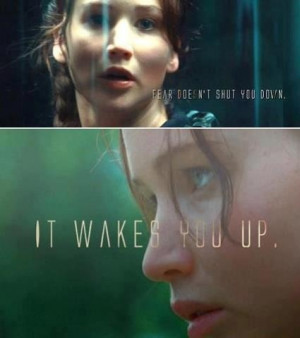 this is not a hunger games quote!!! its a quote by author veronica ...