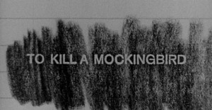 ... projekt about the novel 