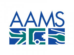 medical transportation services