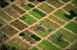 Related Pictures rest of yann arthus bertrand the earth from above 402 ...