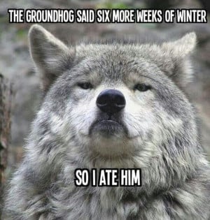 30 Funny animal captions - part 20 (30 pics), funny animal pictures ...