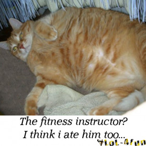 Fat cats - http://lol-4fun.blogspot.com - LoL cats + Funny cats :)