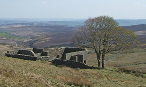 Wuthering+heights+quotes+and+meanings