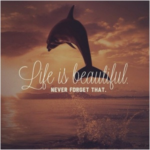 Life is beautiful, never forget that.