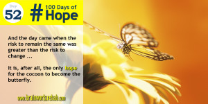 Cocoon To Become Butterfly