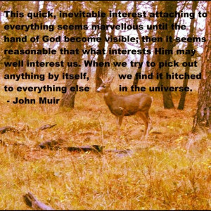 John Muir Quote 31. It seems I missed this one the first time around.
