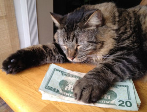 Cats and Cash (64 pics)
