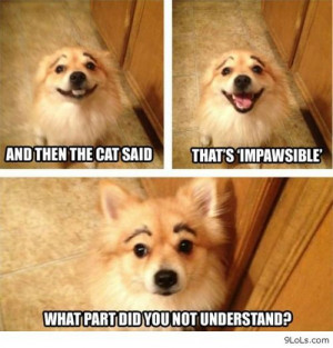 Rating: 0.0/ 10 (0 votes cast)