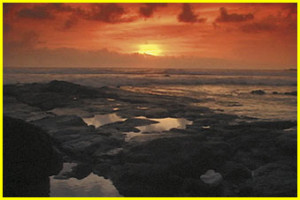 faith courage hope day 4 day 5 day 6 commitment