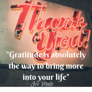 Joe Vitale Quotes about the Law of Attraction