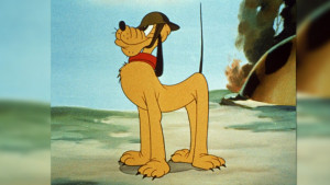 ... Exclusive / 10 Things You Didn’t Know About Walt Disney’s Pluto