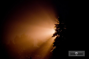 Happy Rainy Day Quote...