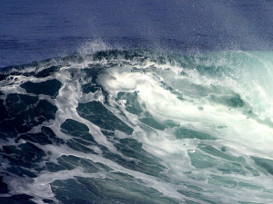 The waves on the sea go up and down, ( raise and lower arms)