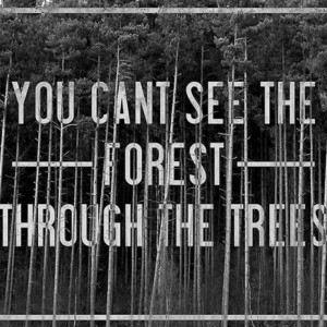 Forests, Inspiration, Rerout, Do You, Motivation, Caught, Case, Step ...