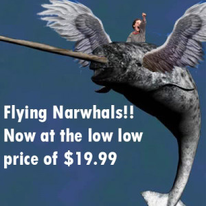 Flying Narwhal Image