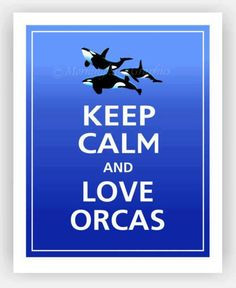 orcas forever amazing more keep calm keep calm and love orcas 1