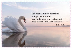 The best and most beautiful things in the world cannot be seen or ...
