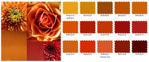Create your own colour palette here