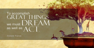 To accomplish great things we must dream as well as act.