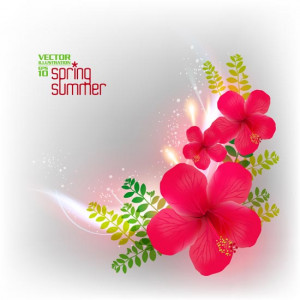 Floral spring cards vectors