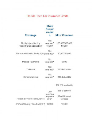 Florida Auto Insurance Quotes