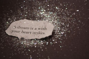 dream is a wish your heart makes
