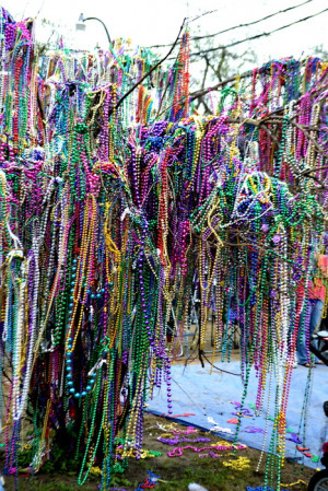 Mardi Gras Bead Tree! Probably in New Orleans. The ones I've seen here ...