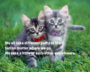We all take different path in life