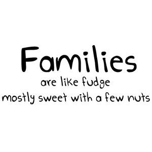 ... Wall-Decal-House-Home-Family-like-Fudge-Quote-Kitchen-Funny-Vinyl