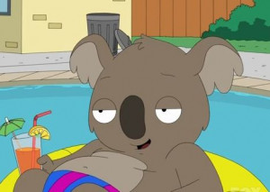 Reginald as a koala